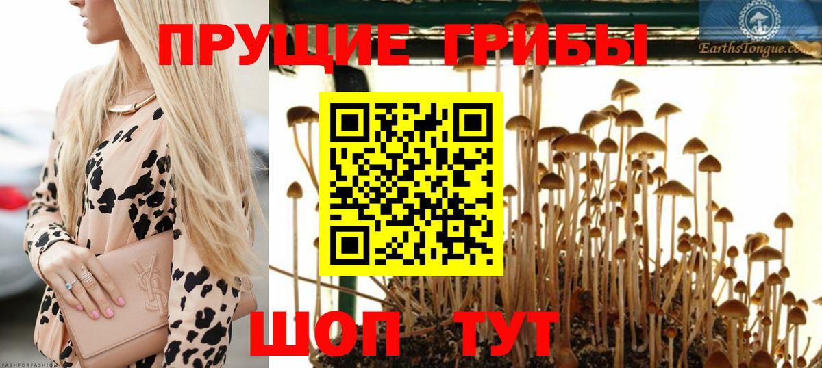 Псилоцибиновые грибы MAGIC MUSHROOMS  цена   Белореченск  Галлюциногенные грибы мицелий  Вход с VPN 