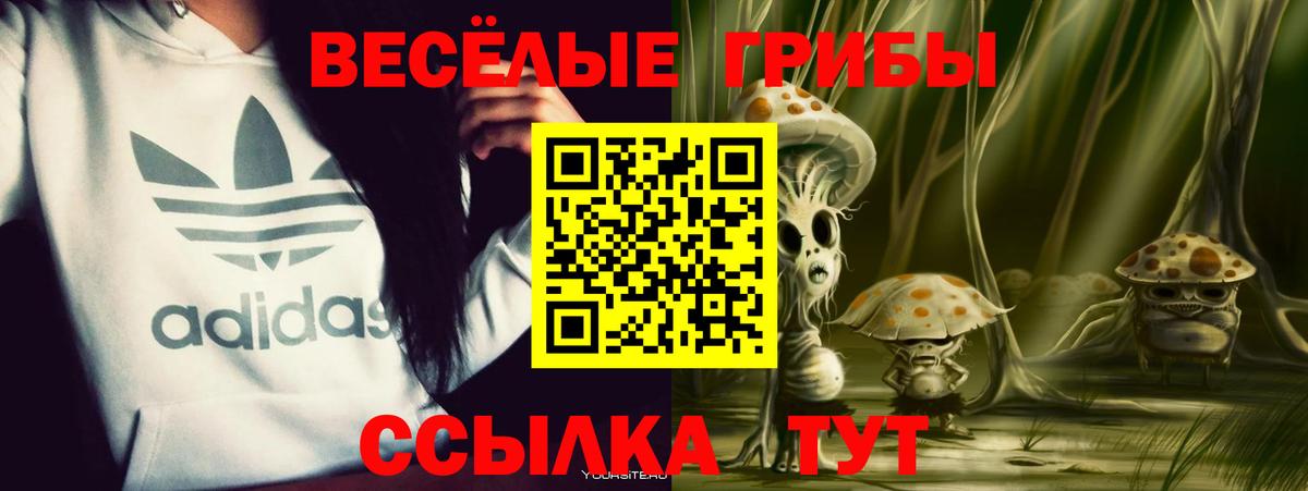Псилоцибиновые грибы прущие грибы Белореченск